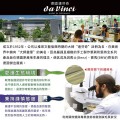 德國 DaVinci 達芬奇 學生級 尼龍畫筆 375 綠桿(半圓)